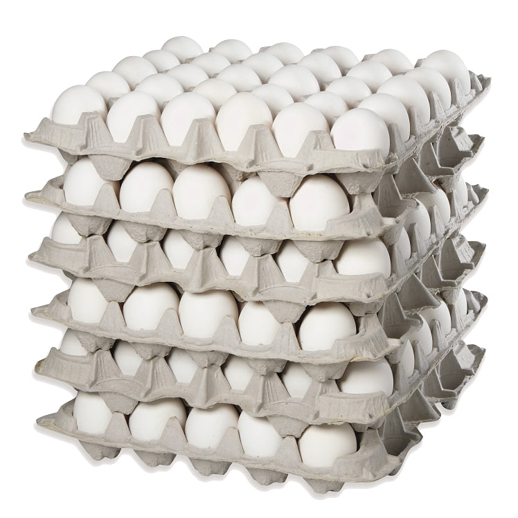 Today only Most Popular size Large Eggs – Loose Pack Online only GTA Tray 30eggsx6(180/case)