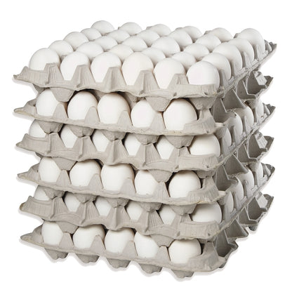 Today only Most Popular size Large Eggs – Loose Pack Online only GTA Tray 30eggsx6(180/case)