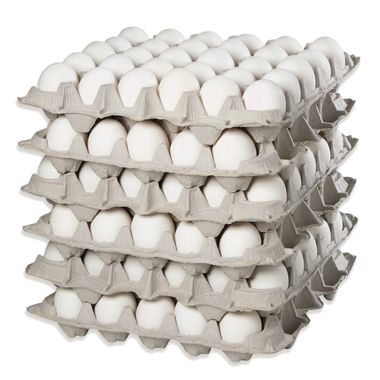 Today only Most Popular size Large Eggs – Loose Pack Online only GTA Tray 30eggsx6(180/case)