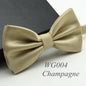 20 Colors  Solid Fashion Bowties Groom Men Colourful Plaid Cravat gravata Male Marriage Butterfly Wedding Bow ties
