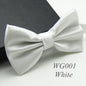 20 Colors  Solid Fashion Bowties Groom Men Colourful Plaid Cravat gravata Male Marriage Butterfly Wedding Bow ties
