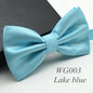 20 Colors  Solid Fashion Bowties Groom Men Colourful Plaid Cravat gravata Male Marriage Butterfly Wedding Bow ties