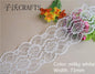 2018 Global Hot Sale 10 yards beautiful white lace ribbon European lace fabric lace sew embroidery dress accessories