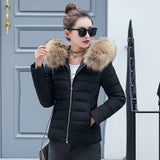 HEE GRAND Winter Autumn Jackets Women Fur Collar Parkas Plus size 5XL Elegant Hooded Cotton Coats Short Slim Outwears WWM1670
