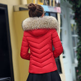 HEE GRAND Winter Autumn Jackets Women Fur Collar Parkas Plus size 5XL Elegant Hooded Cotton Coats Short Slim Outwears WWM1670