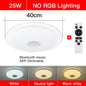 Modern LED ceiling Lights RGB Dimmable 25W 36W 52W APP Remote control Bluetooth Music light foyer bedroom Smart ceiling lamp