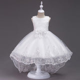 New High quality baby lace princess dress for girl elegant birthday party dress girl dress Baby girl's christmas clothes 2-12yrs