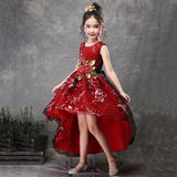 New High quality baby lace princess dress for girl elegant birthday party dress girl dress Baby girl's christmas clothes 2-12yrs