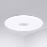 Original Xiaomi Ceiling Lights Philips LED Ceiling Lamp Dust Resistance App Wireless Dimming AC 100 - 240V APP Remote Control