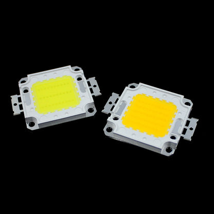 YNL 1Set Real Watt 10W 20W 30W 50W COB LED Integrated Lamp Chip with LED power supply driver For LED Floodlight Spot light