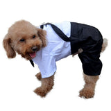 Fashion Pet Cheap Pet Dog Clothes Small Summer Autumn Dog Clothing Pet Products ropa para perros XT