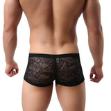 Men Underwear Lace Sexy Translucent Boxer Briefs Breathable Underpants BGL