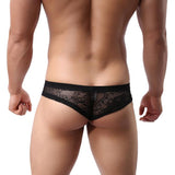 Men Underwear T-back Sexy Translucent Triangle Briefs Breathable Underpants BGL