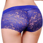 Women Lace Panties Underwear Transparent Comfort Knickers breathable WH