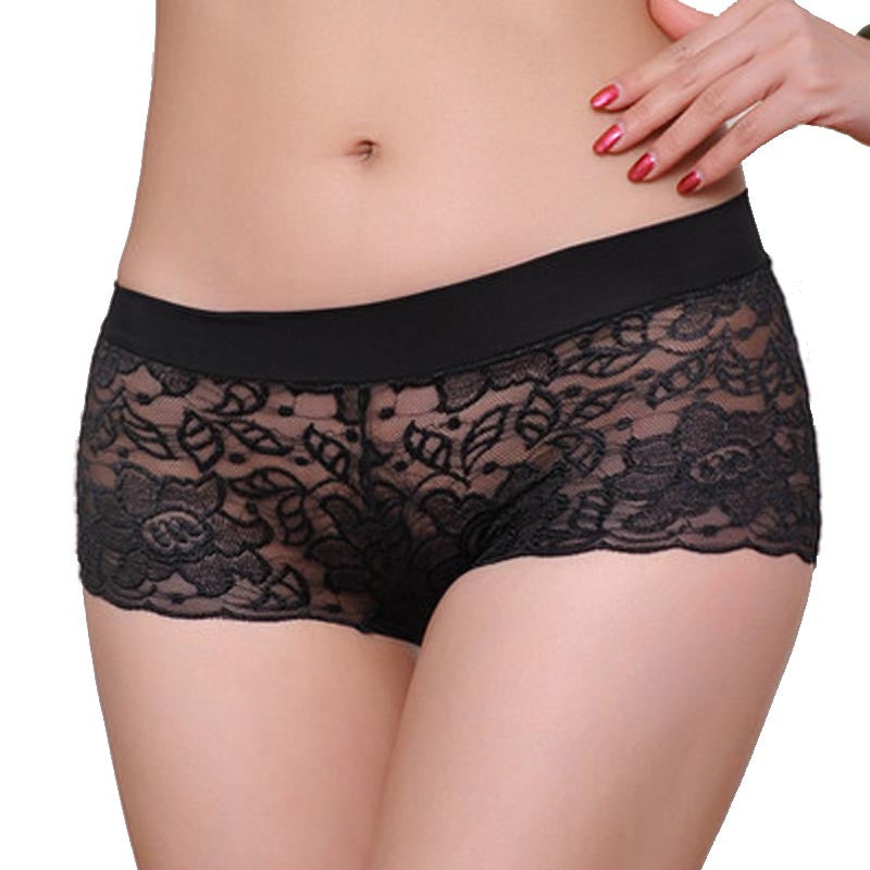 Women Lace Panties Underwear Transparent Comfort Knickers breathable WH