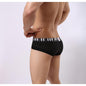 Sexy Men Ventilation Underwear High Quality Boxers Men Shorts AG/L