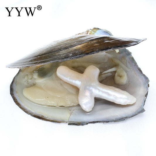 YYW Vacuum-packed Big Cross Oyster Pearl Freshwater Love Wish Pearls Oysters White Pearl Beads Christian Gift Mysterious Gifts