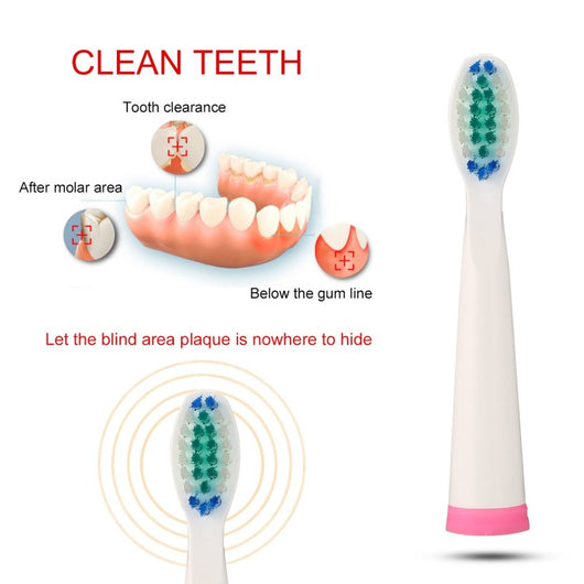 2pcs Electric Toothbrush Heads Sonic Replaceable Seago Tooth Brush Head for  SG-899 Electric Toothbrush Deep Clean Teeth Care