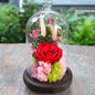 Wedding Decoration Rose Flowers In Glass Cover Cloche Night Light Mother's Day Gifts Micro Landscape Home Office Decor Supplies