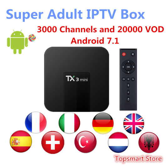 Italy IPTV TX3Mini 2G 16GB Amlogic S905W Android 7.1 TV Box+ Spain Germany Turkey Canada USA iptv Smart TV Box+1 Year IPTV+XXX