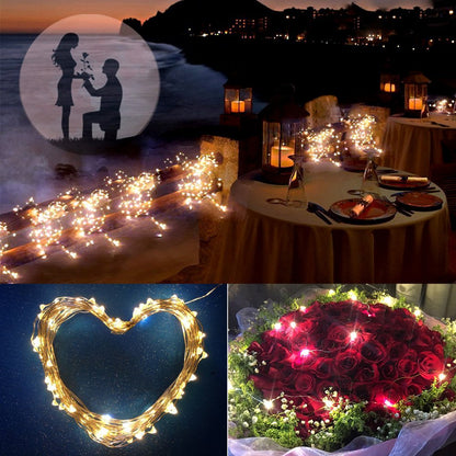 string led lights 1/5/10M 33ft 100led Battery powered outdoor Warm white copper wire christmas festival wedding party decoration